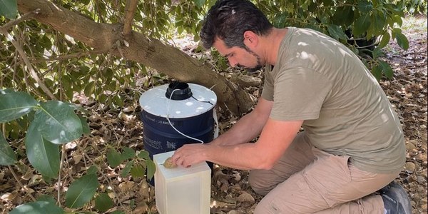 El Gobierno municipal consolida el control del Virus del Nilo tras confirmar la ausencia de resultados positivos en toda la ciudad