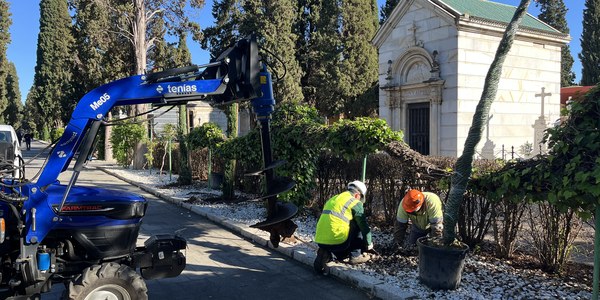 El Ayuntamiento impulsa 1300 nuevas plantaciones en el Distrito Norte con una actuación histórica en el Cementerio de San Fernando
