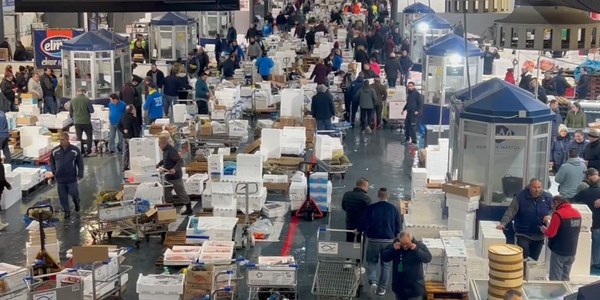 Mercasevilla activa nuevas inversiones por 1,3 millones para reforzar la Unidad Alimentaria