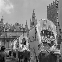 Carretas de la Hermandad del Rocío del Salvador por la plaza del Triunfo. 27 de mayo de 1971. ©ICAS-SAHP, Fototeca Municipal de Sevilla, fondo Serrano