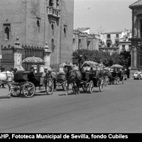 Parada de coches de caballos para el servicio turístico en la plaza Virgen de los Reyes. 1969. ©ICAS-SAHP, Fototeca Municipal de Sevilla, fondo Cubiles