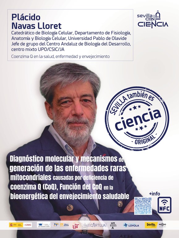 29_AF PLACIDO_compressed_page-0001.jpg
