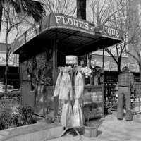 Puesto de flores El Duque. Al lado, un urinario público subterráneo, cerrado en 2004. 1977. ©ICAS-SAHP, Fototeca Municipal de Sevilla, fondo Cubiles 