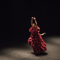 Ana Morales - Teatro Central