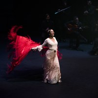 Anabel Veloso - Oro sobre azul