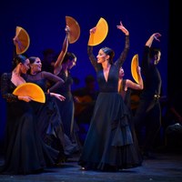 Archivo Fotográfico Bienal de Flamenco © Fotógrafa: Claudia Ruiz Caro / Ballet Flamenco de Andalucía - 25 aniversario
