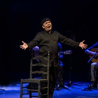 EL PELE - Teatro Lope de Vega