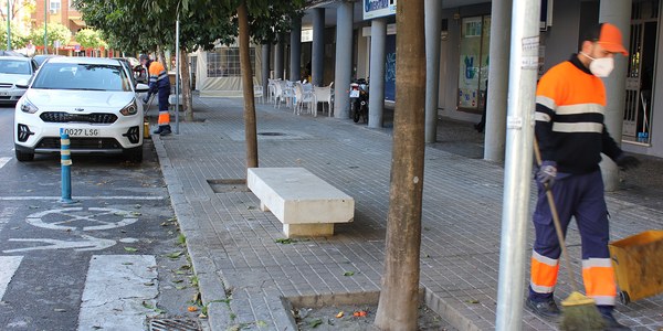 El Ayuntamiento pone en marcha el plan de refuerzo para la recogida de la naranja amarga caída al suelo con 46 contrataciones y un presupuesto de 138.000 euros a través de Lipasam