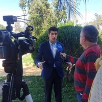Luis Ybarra, director de la Bienal de Flamenco atendiendo a los medios de comunicación