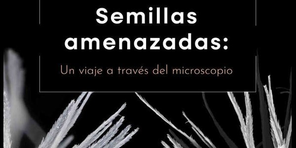 SEMILLAS AMENAZADAS: Un viaje a través del microscopio