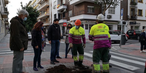 El Ayuntamiento inicia la campaña de plantaciones en Los Remedios con 9 nuevos árboles en alcorques vacíos de la calle Virgen del Valle y que se elevarán a 88 en todo el distrito cuando finalicen los trabajos