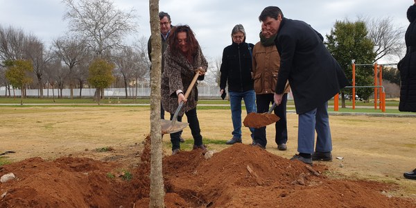 El Ayuntamiento planta 108 nuevos árboles y 200 arbustos en el Parque de Triana