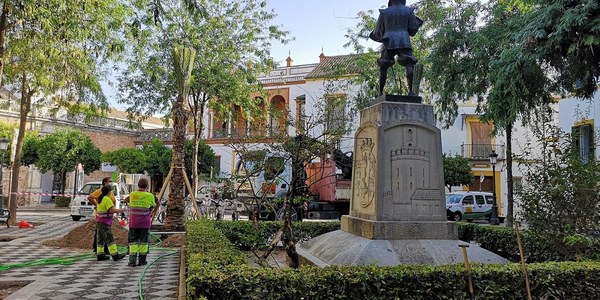 El Ayuntamiento planta tres palmeras en la Plaza de Pilatos dentro de su plan de reposición de esta especie en entornos patrimoniales