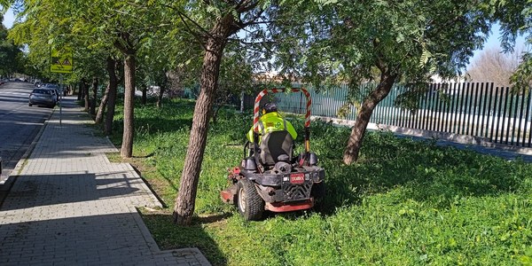 El Ayuntamiento planifica el inicio del refuerzo de la campaña de desbroces para primeros de marzo con personal y recursos de Parques y Jardines, empresas adjudicatarias de los contratos de conservación del arbolado, Lipasam, Servicio 072 REUR y programa de empleo Joven Ahora