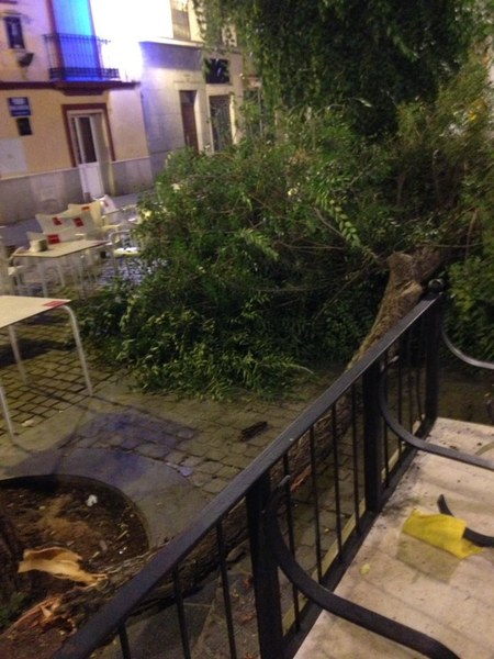 WhatsApp Image 2018-07-04 at 21.11.22 (1).jpeg WhatsApp Image 2018-07-04 at 21.11.22 (1).jpeg