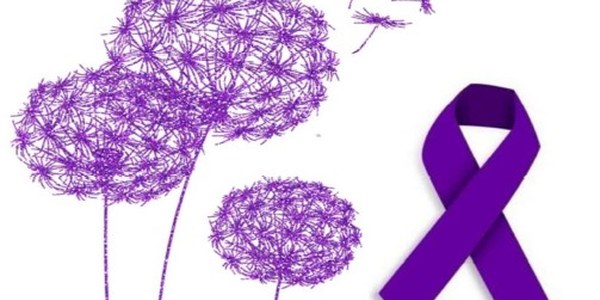 DÍA INTERNACIONAL CONTRA LA VIOLENCIA HACIA LAS MUJERES