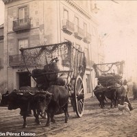 15. El campo entra en la ciudad. Carretas tiradas por bueyes entrando en Triana por el Altozano, en la esquina de la calle San Jorge. ©Colección Pérez Basso