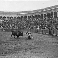 11- Joselito durante la faena al quinto toro de Santa Coloma al que adornó con un sombrero en un desplante en la plaza de toros de la Real Maestranza. El presidente, Antonio Filpo, le concedería la primera oreja en la historia de la Tauromaquia a petición del público. 30.09.1915