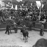 Una caseta singular fue la de José Cossío, Esta es, una de las atracciones del Real de la Feria por los festejos taurinos que se celebraban por las mañanas en su pequeña plaza de toros. 1946-1955