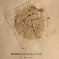 Santa Olalla de la Sierra. 1494. ICAS-SAHP, Archivo Municipal de Sevilla, C.S. n.º 72