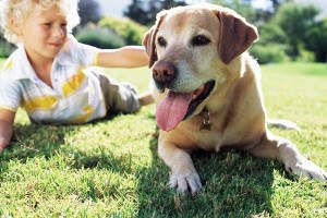 perros-niños.jpg.jpg