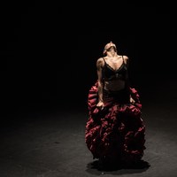 Ana Morales - Teatro Central