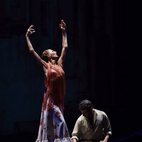 Archivo Fotográfico Bienal de Flamenco © Fotógrafa: Claudia Ruiz Caro / Ballet Flamenco de Andalucía - 25 aniversario