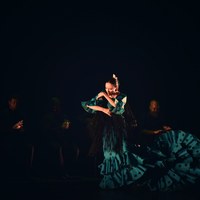 Archivo Fotográfico Bienal de Flamenco © Fotógrafa: Claudia Ruiz Caro / Ballet Flamenco de Andalucía - 25 aniversario