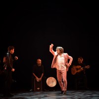 Archivo Fotográfico Bienal de Flamenco © Fotógrafa: Claudia Ruiz Caro / Ballet Flamenco de Andalucía - 25 aniversario