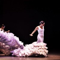 Archivo Fotográfico Bienal de Flamenco © Fotógrafa: Claudia Ruiz Caro / Ballet Flamenco de Andalucía - 25 aniversario